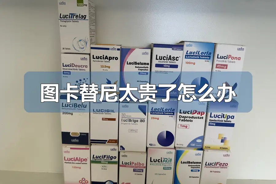 图卡替尼太贵了怎么办